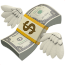 Money with wings